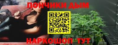 индика Беслан