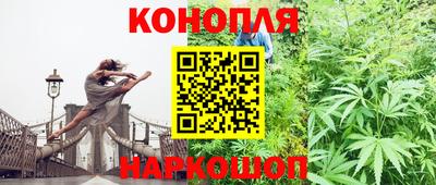 индика Беслан