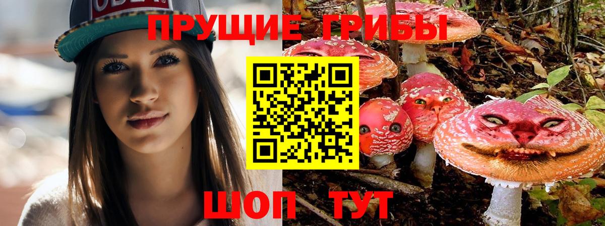 Псилоцибиновые грибы GOLDEN TEACHER  Вход с VPN  Псилоцибиновые грибы MAGIC MUSHROOMS  Калач-на-Дону 